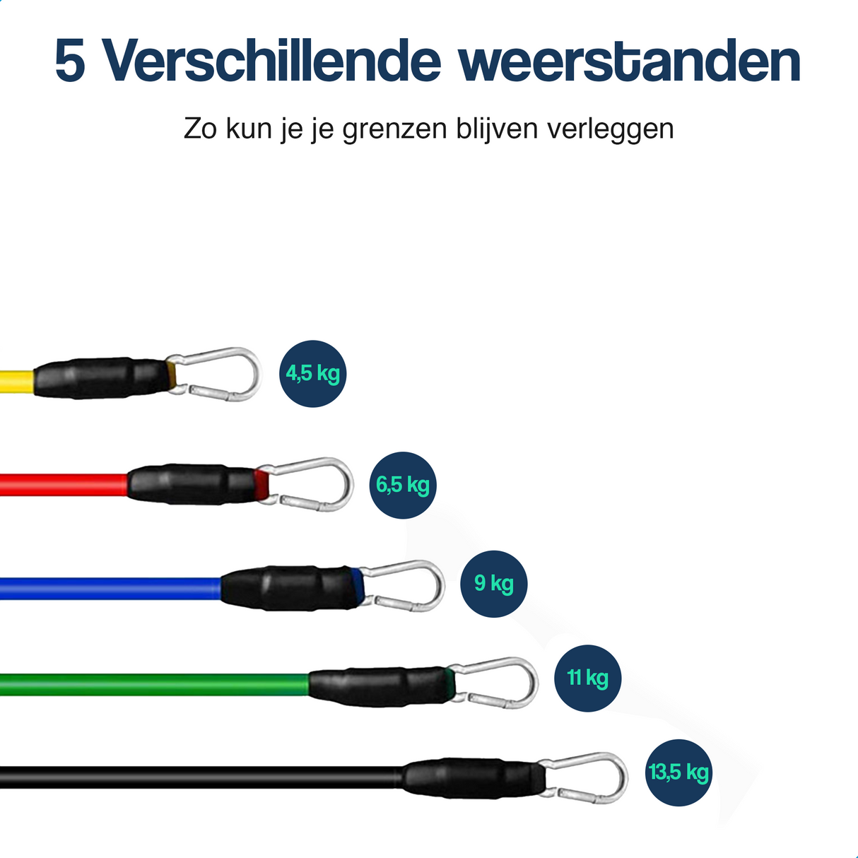 Push up bord - 14 in 1 - Met 10 weerstandsbanden