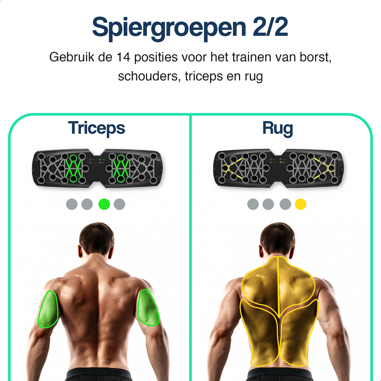 Push up bord - 14 in 1 - Met 10 weerstandsbanden