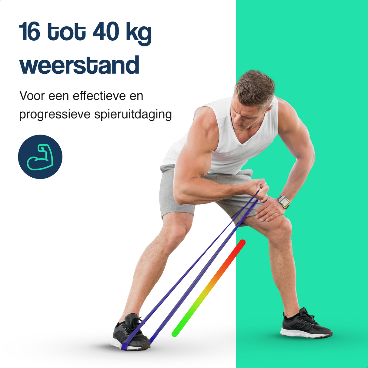Weerstandsband 104 cm - 16 tot 40 kg - Paars